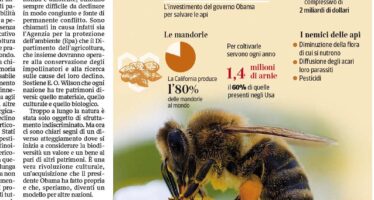 La missione di Obama Curare le piccole api per salvare l’agricoltura