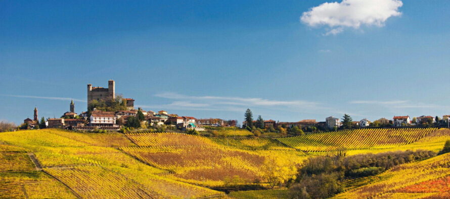 Langhe L’epopea delle vigne patrimonio dell’umanità