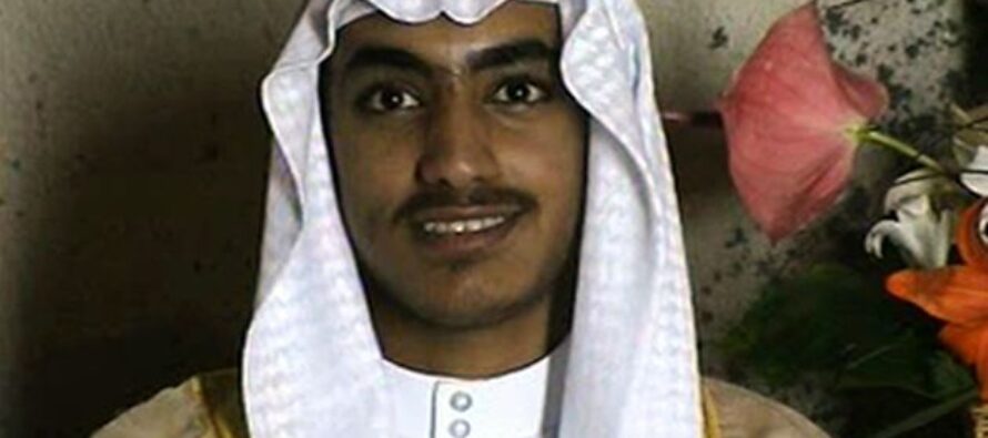 Morto Hamza bin Laden, il «giovane leone» di Al Qaeda