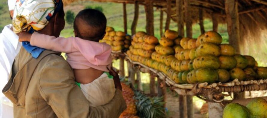 8 marzo. Le donne in difesa di Madre Terra e sovranità alimentare